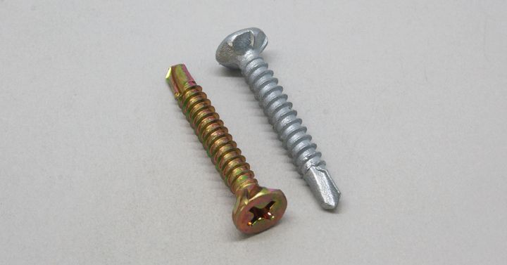 Self Embedding Head